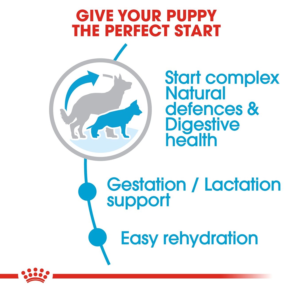 Royal Canin Maxi Breed Starter Puppy Food - Heads Up For Tails