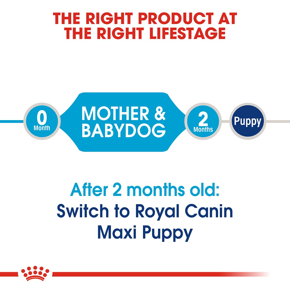 Royal Canin Maxi Breed Starter Puppy Food - Heads Up For Tails