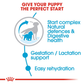 Royal Canin Medium Breed Starter Puppy Food - Heads Up For Tails