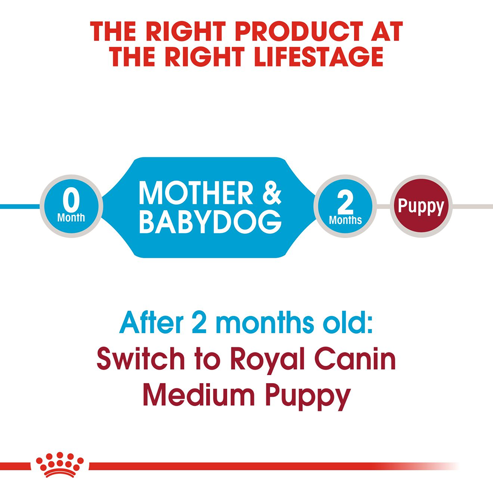 Royal Canin Medium Breed Starter Puppy Food - Heads Up For Tails