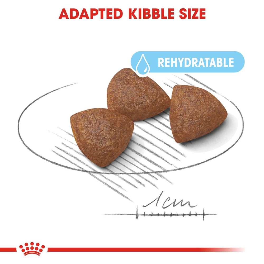 Royal Canin Medium Breed Starter Puppy Food - Heads Up For Tails
