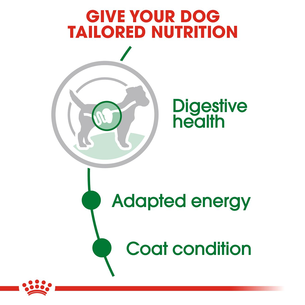 Royal Canin Mini Breed Adult Wet Dog Food - 85 g packs - Heads Up For Tails