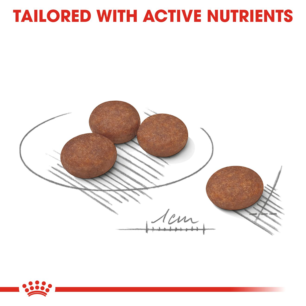 Royal Canin Digestive Care Mini Breed ( Up to 10 kg) Dry Dog Food - 3 kg - Heads Up For Tails