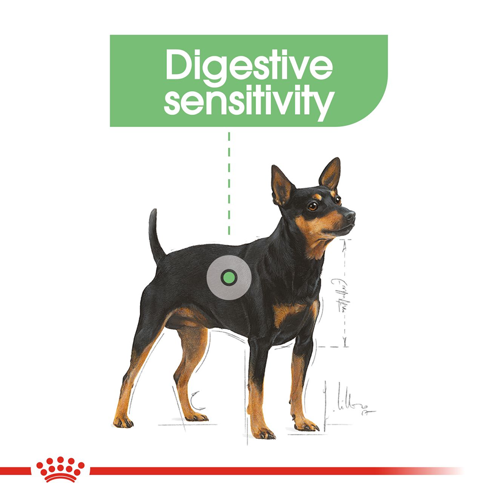 Royal Canin Digestive Care Mini Breed ( Up to 10 kg) Dry Dog Food - 3 kg - Heads Up For Tails