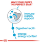 Royal Canin Mini Breed Dry Puppy Food - Heads Up For Tails
