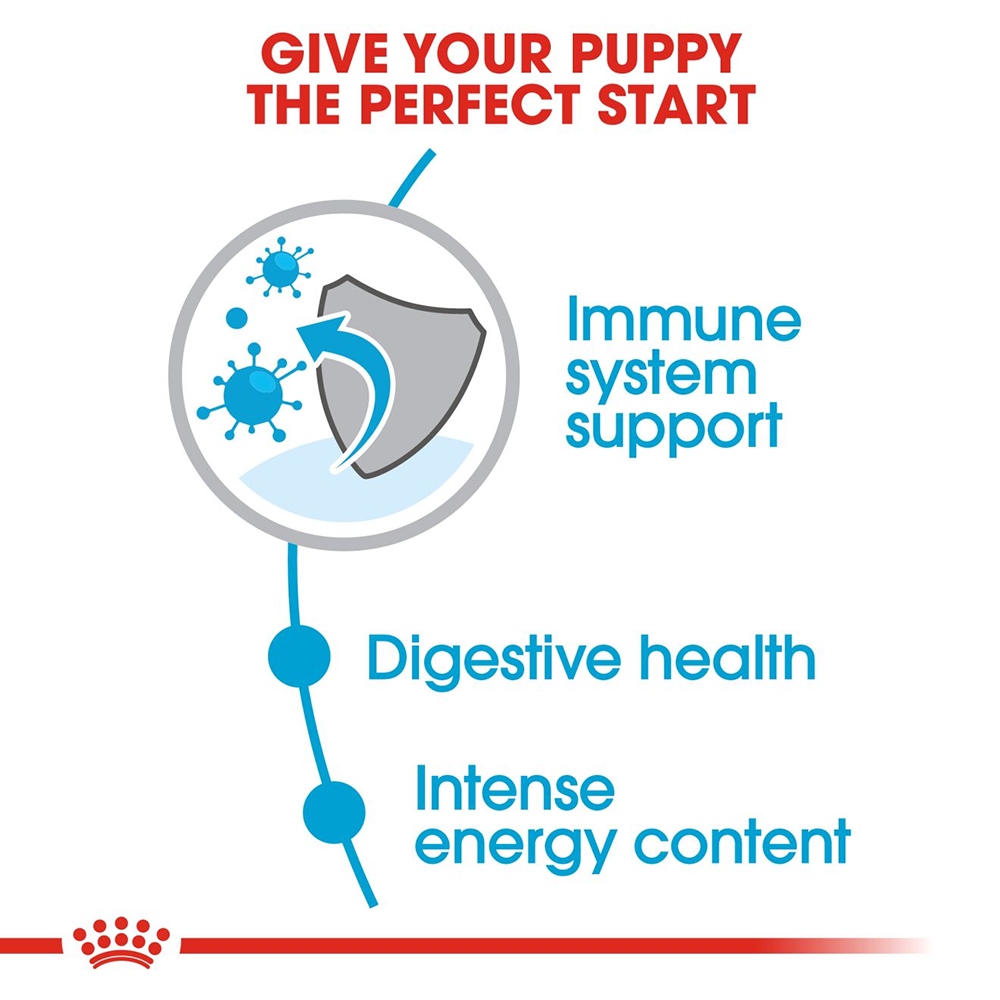 Royal Canin Mini Breed Dry Puppy Food - Heads Up For Tails