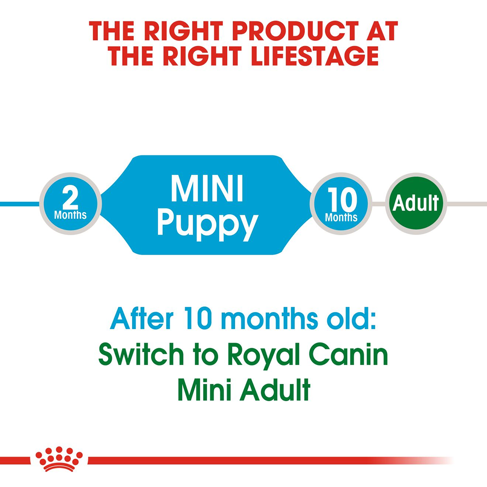 Royal Canin Mini Breed Dry Puppy Food - Heads Up For Tails