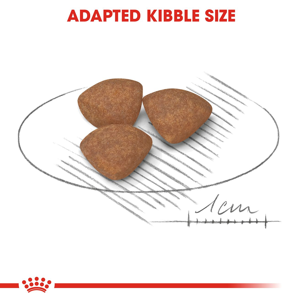Royal Canin Mini Breed Dry Puppy Food - Heads Up For Tails