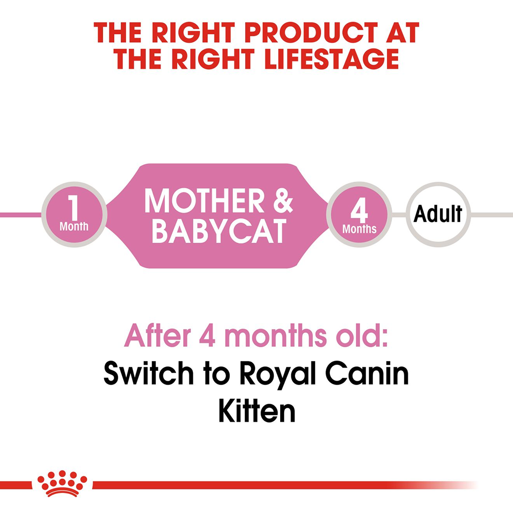 Royal Canin Babycat Instinctive Mousse Wet Cat Food - 195 g - Heads Up For Tails