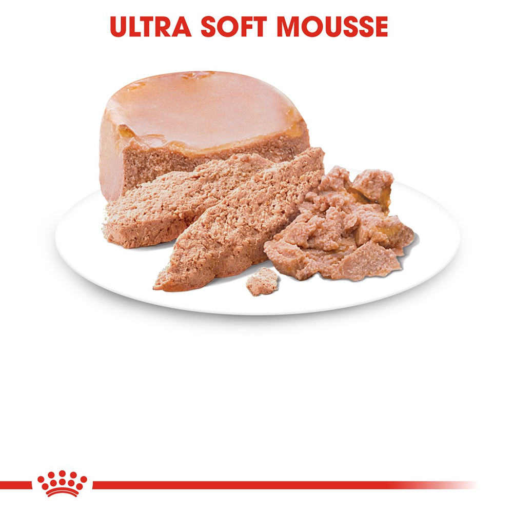 Royal Canin Babycat Instinctive Mousse Wet Cat Food - 195 g - Heads Up For Tails