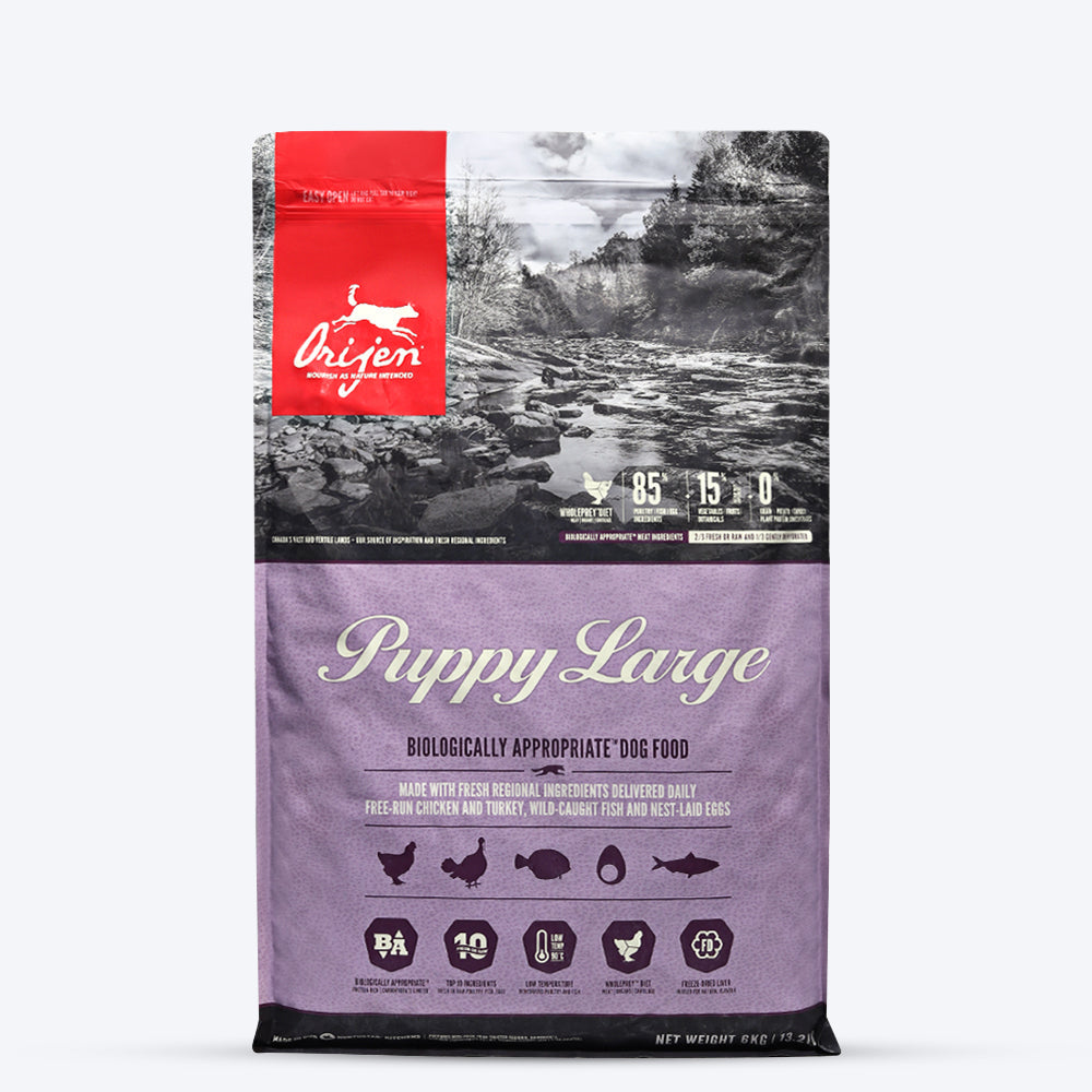 Orijen Grain Free Large Breed Dry Puppy Food - Heads Up For Tails