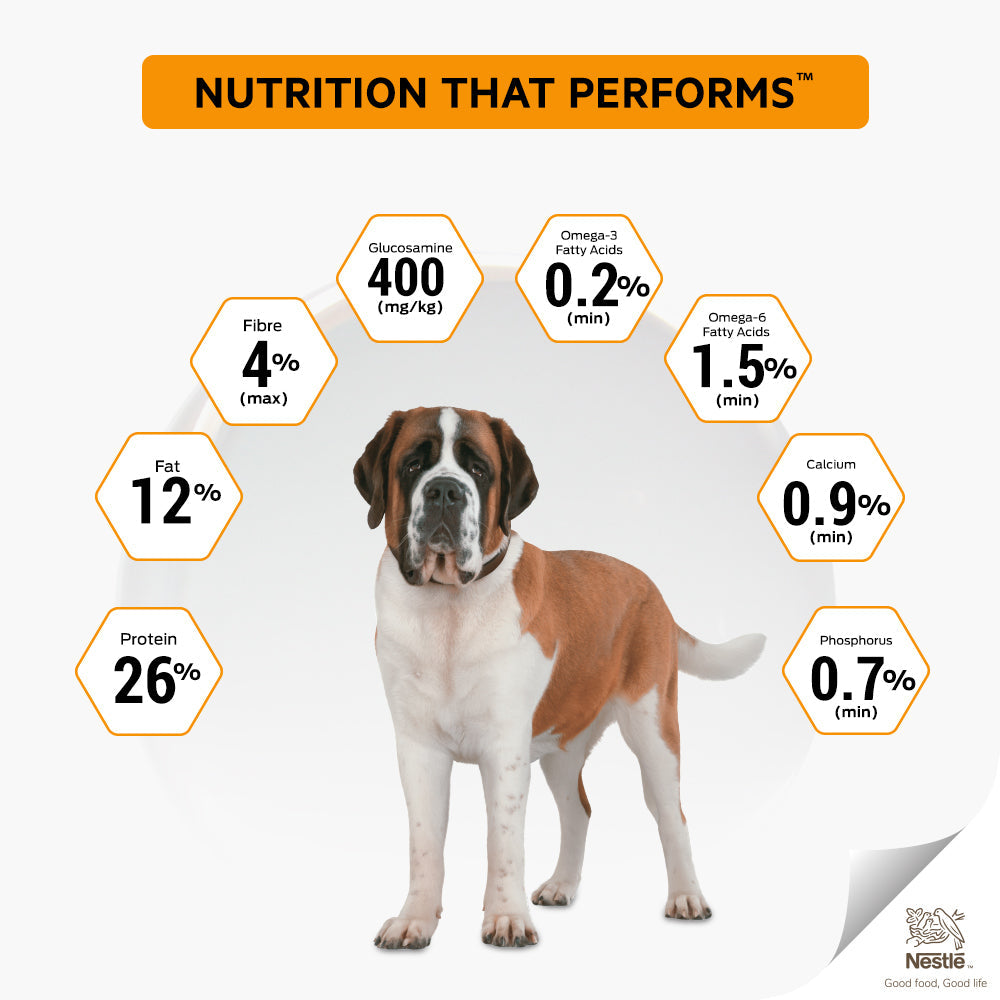 PURINA PRO PLAN Large Breed Adult Dry Dog Food - Chicken