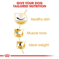 Royal Canin Pug Adult Dry Dog Food - Heads Up For Tails