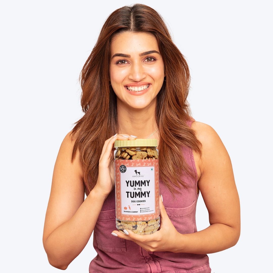 HUFT YIMT Pumpkin and Carrots Vegetarian Dog Biscuits - Heads Up For Tails