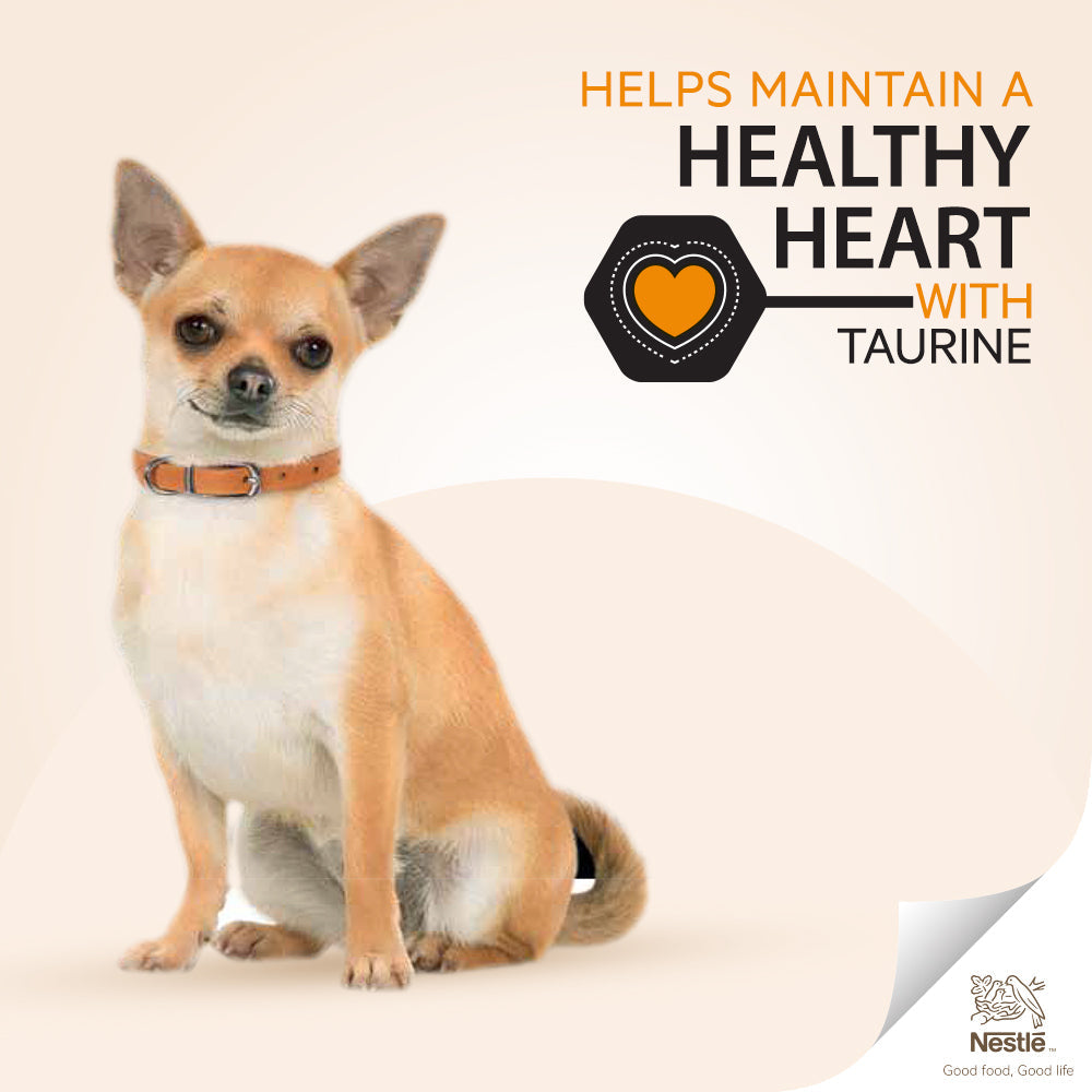 PURINA PRO PLAN For Small and Mini Adult Dry Dog Food