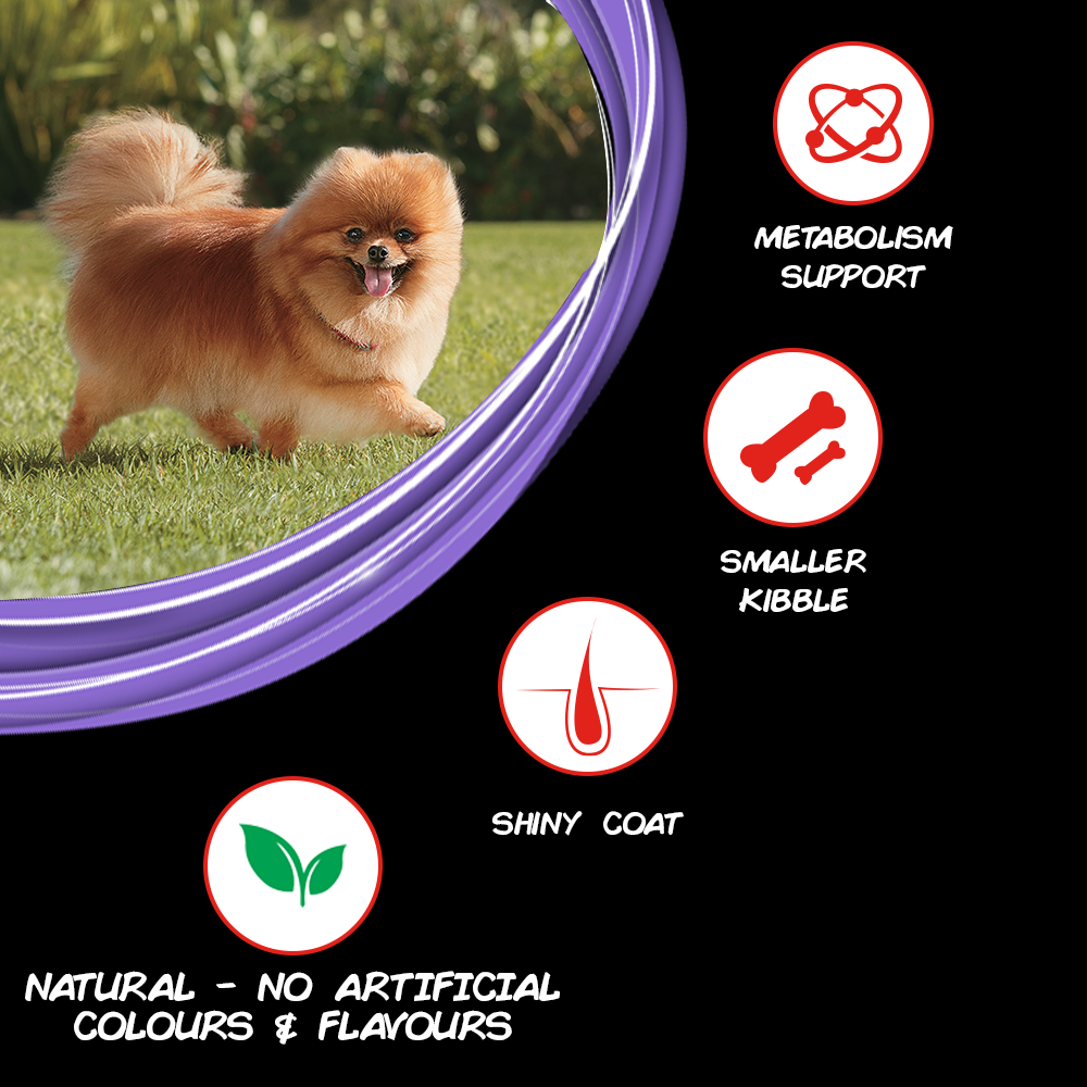 PURINA SUPERCOAT Adult Small Breed Dry Dog Food with Chicken