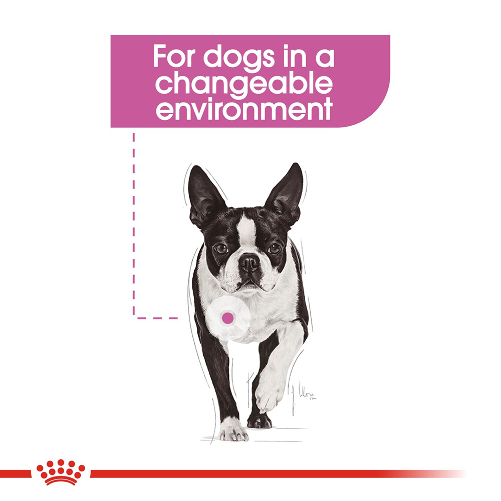 Royal Canin Relax Care All Size Wet Dog Food - 85 g - Heads Up For Tails