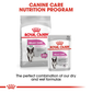 Royal Canin Relax Care All Size Wet Dog Food - 85 g - Heads Up For Tails