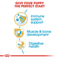 Royal Canin Rottweiler Junior Dry Puppy Food - Heads Up For Tails