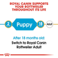 Royal Canin Rottweiler Junior Dry Puppy Food - Heads Up For Tails