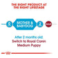 Royal Canin Medium Breed Starter Puppy Food-5
