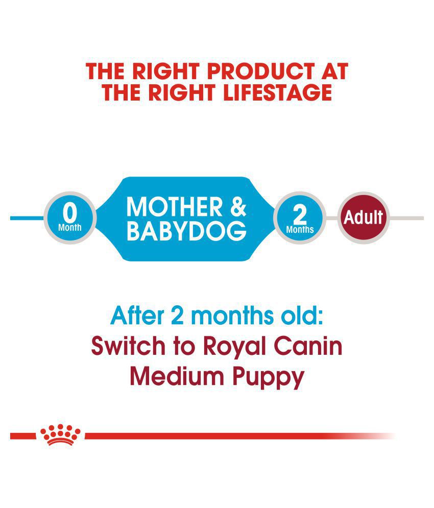 Royal Canin Medium Breed Starter Puppy Food-5