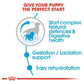 Royal Canin Medium Breed Starter Puppy Food-3