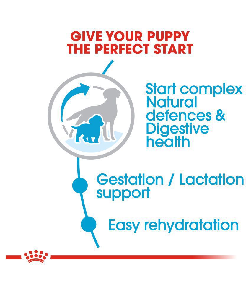 Royal Canin Medium Breed Starter Puppy Food-3