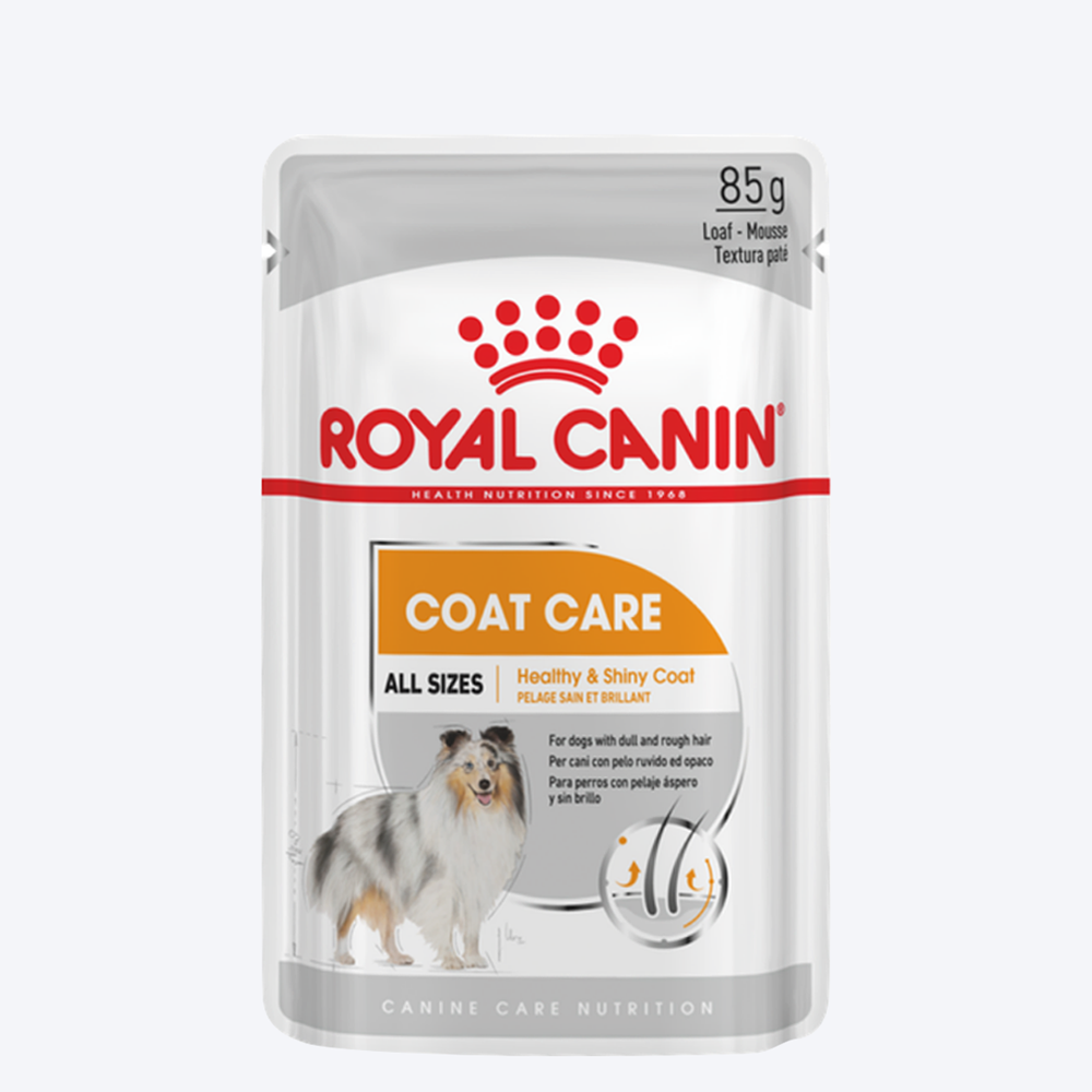 Royal Canin Coat Care Wet Dog Food (All Sizes) - 85 g1