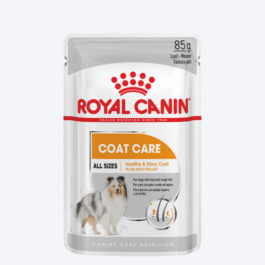 Royal Canin Coat Care Wet Dog Food (All Sizes) - 85 g1