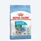 Royal Canin Mini Breed Starter Dry Puppy Food1
