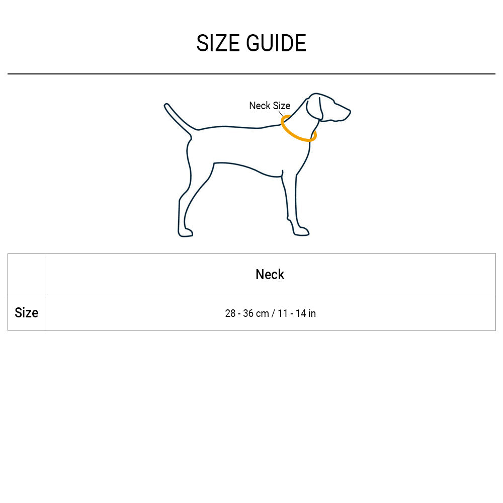 Ruffwear Top Rope Dog Collar - Granite Grey - Heads Up For Tails