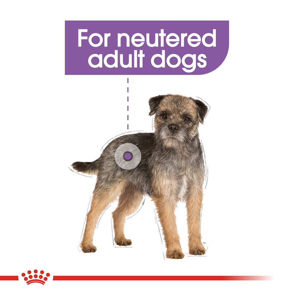 Royal Canin Sterilised All Size Wet Dog Food - 85 g - Heads Up For Tails