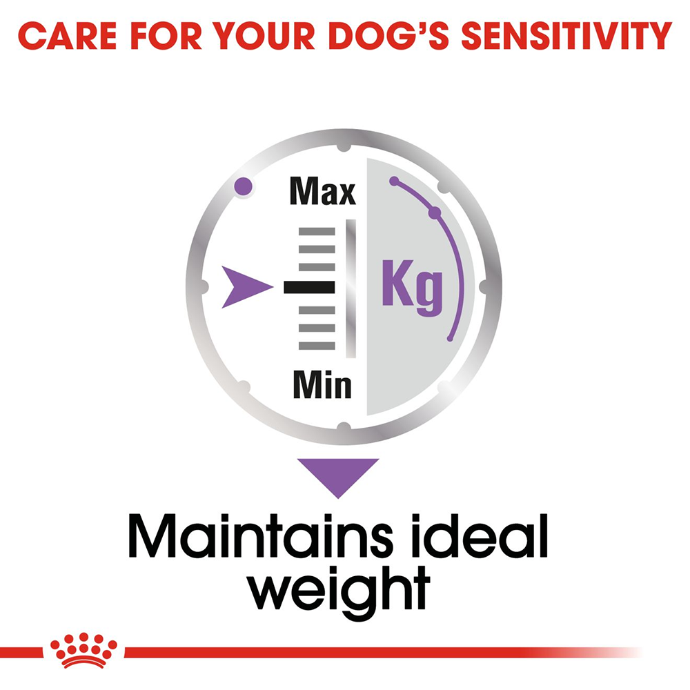 Royal Canin Sterilised All Size Wet Dog Food - 85 g - Heads Up For Tails