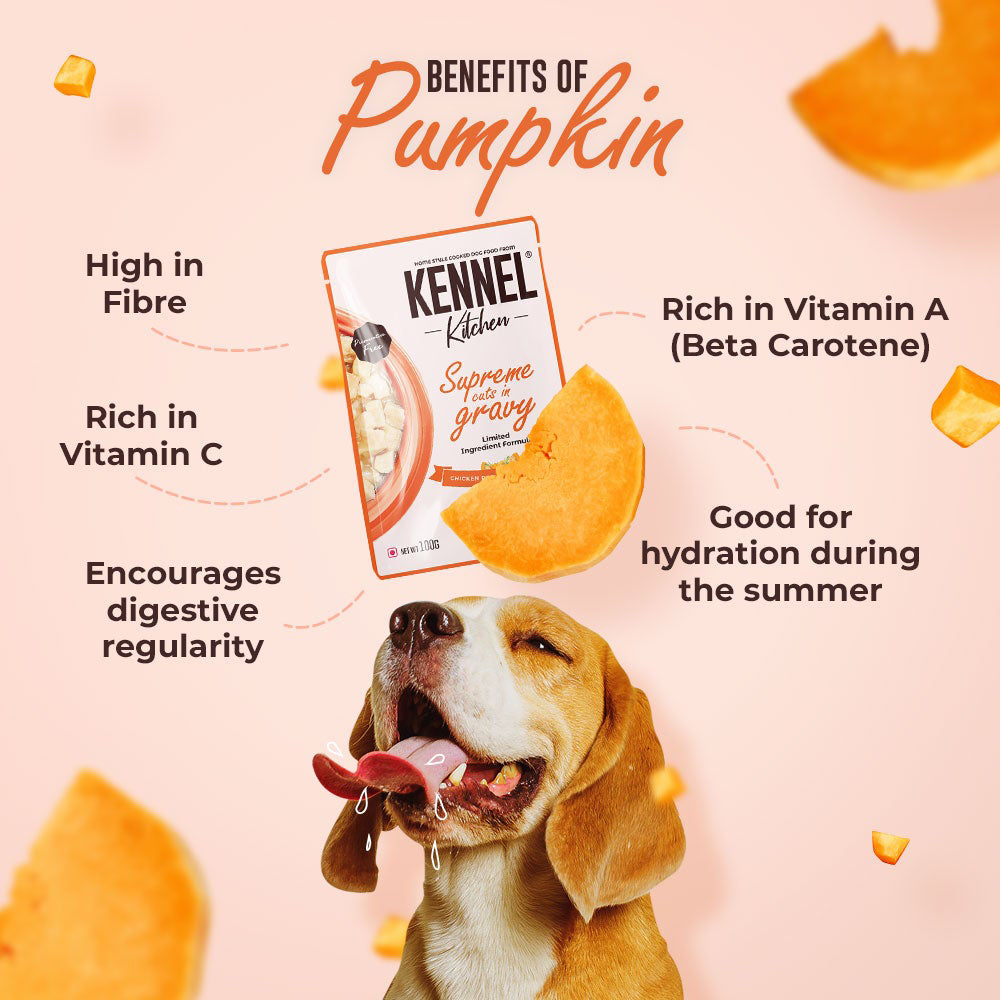 Kennel Kitchen Chicken with Pumpkin Supreme Cuts In Gravy Wet Dog Food - 100 g - Heads Up For Tails