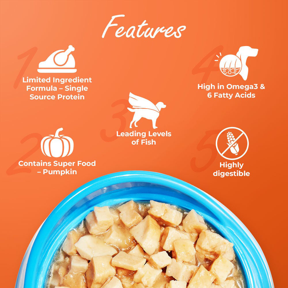 Kennel Kitchen Fish with Pumpkin Supreme Cuts In Gravy Wet Dog Food - 100 g - Heads Up For Tails