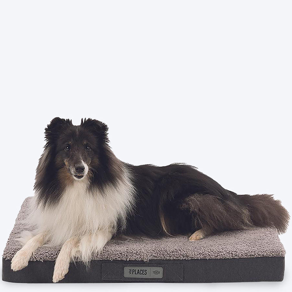 Trixie Bendson Vital Orthopaedic Mattress - Grey - Heads Up For Tails
