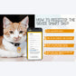 Genie Smart Pet Tag - Heads Up For Tails