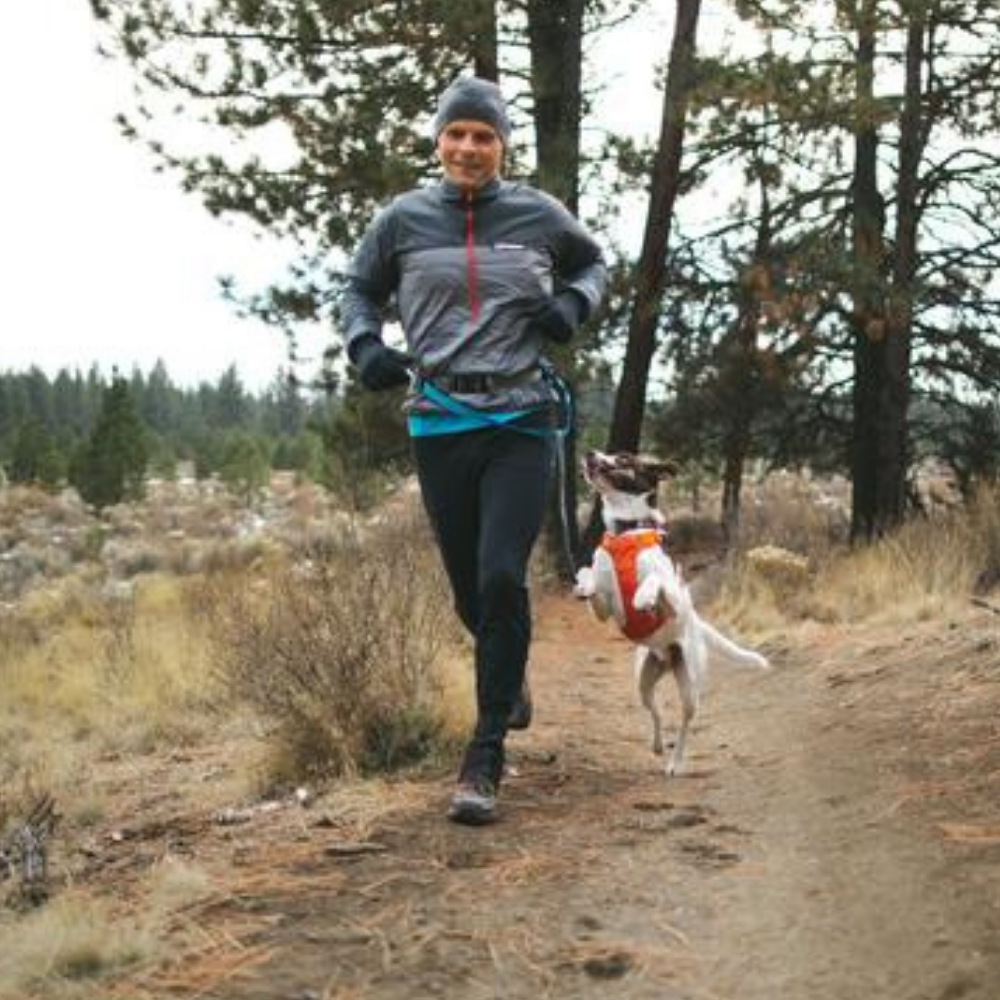 Ruffwear Hi & Light Dog Harness - Heads Up For Tails