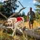 Ruffwear Web Master Dog Harness - Heads Up For Tails