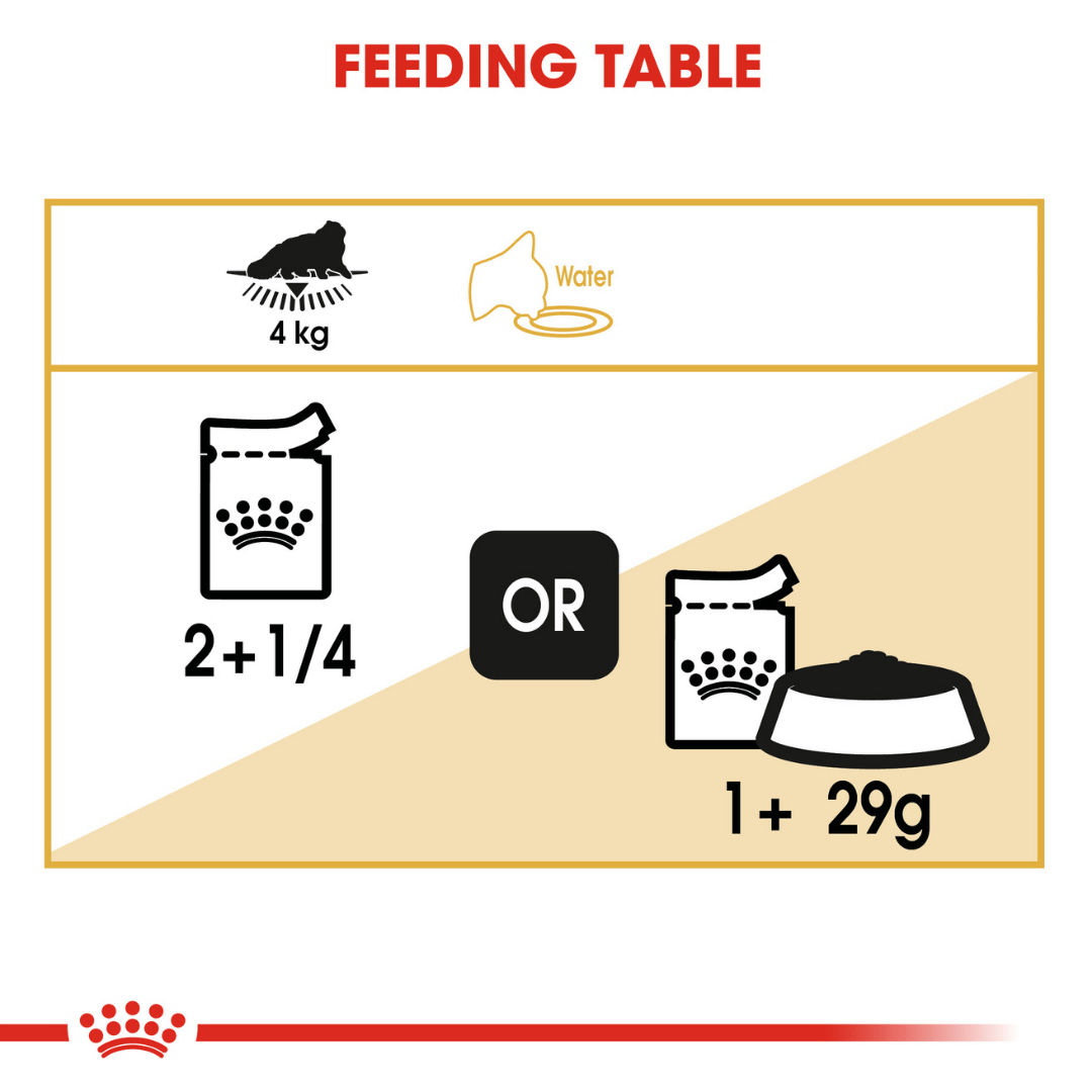 Royal Canin Loaf-Mousse Persian Wet Cat Food - 85 g-4