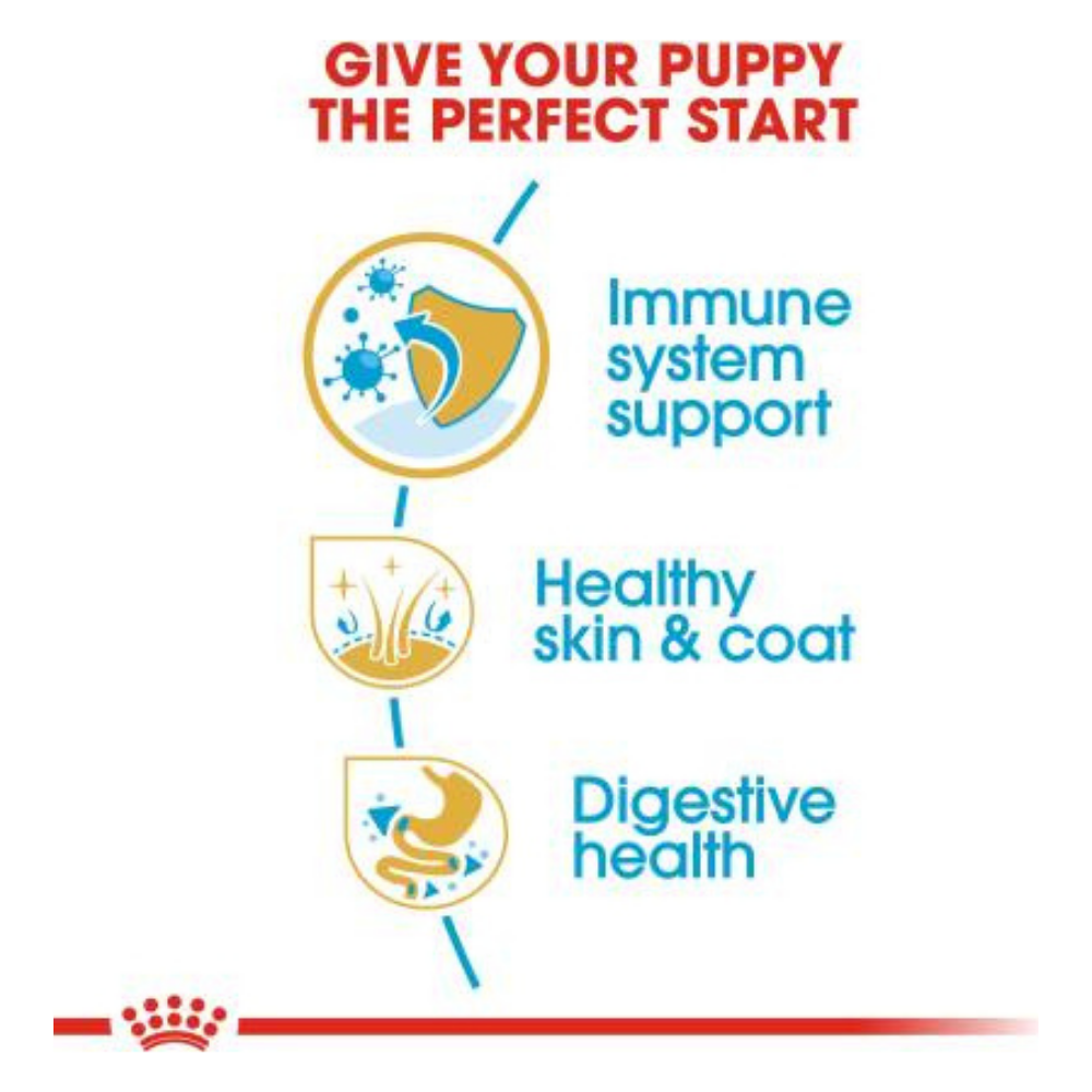 Royal Canin Golden Retriever Junior Dry Puppy Food-4