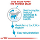 Royal Canin Giant Breed Starter Puppy Food-2
