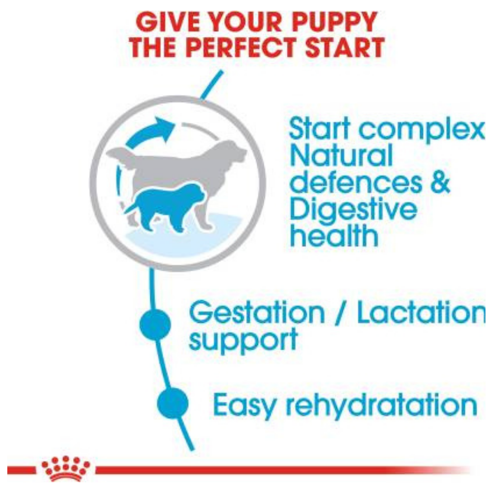 Royal Canin Giant Breed Starter Puppy Food-2