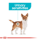 Royal Canin Urinary Care Wet Dog Food (All Sizes) - 85 g - Heads Up For Tails