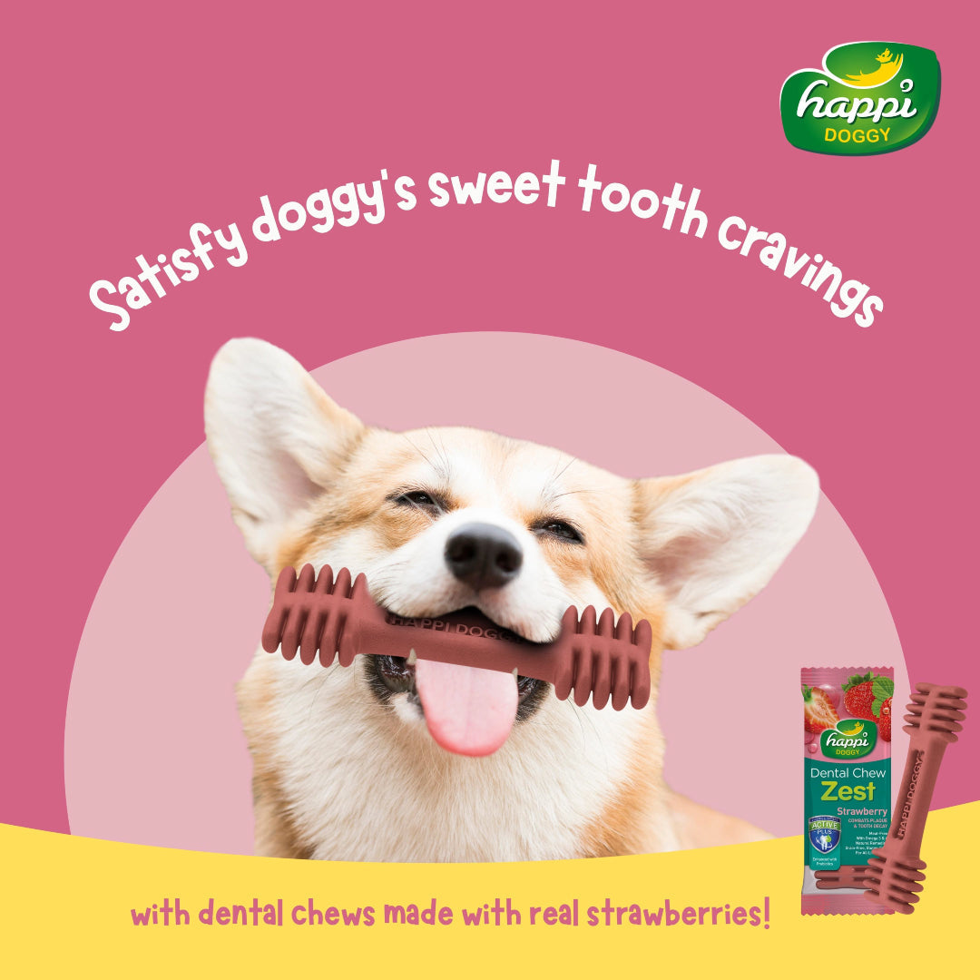 Happi Doggy Zest Dental Chew Dog Treats - Pack of 4-3
