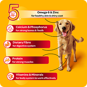 Pedigree Grilled Liver Chunks with Vegetables Gravy Adult Wet Dog Food - 70 g - Heads Up For Tails