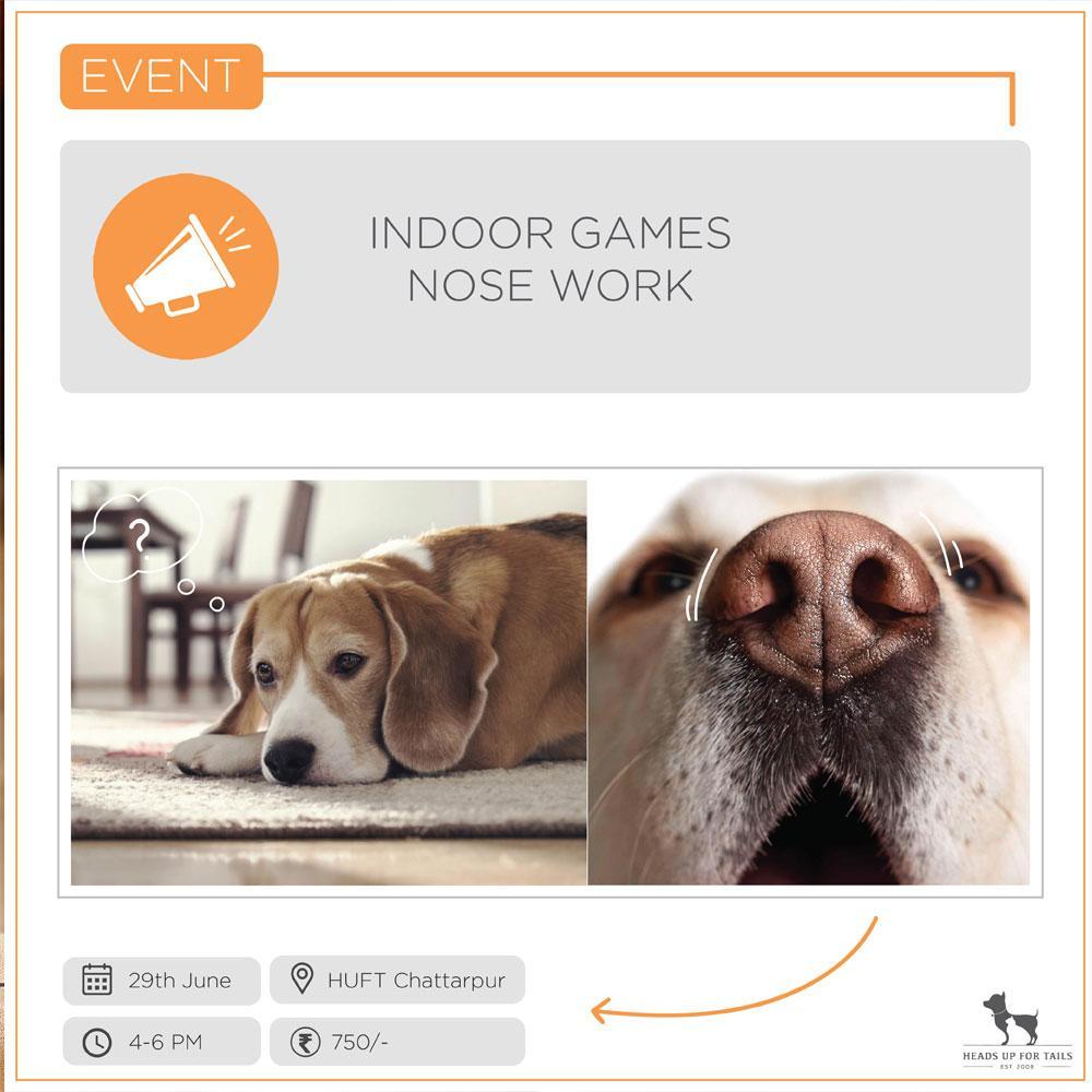 Event Indoor Games and Nose Work