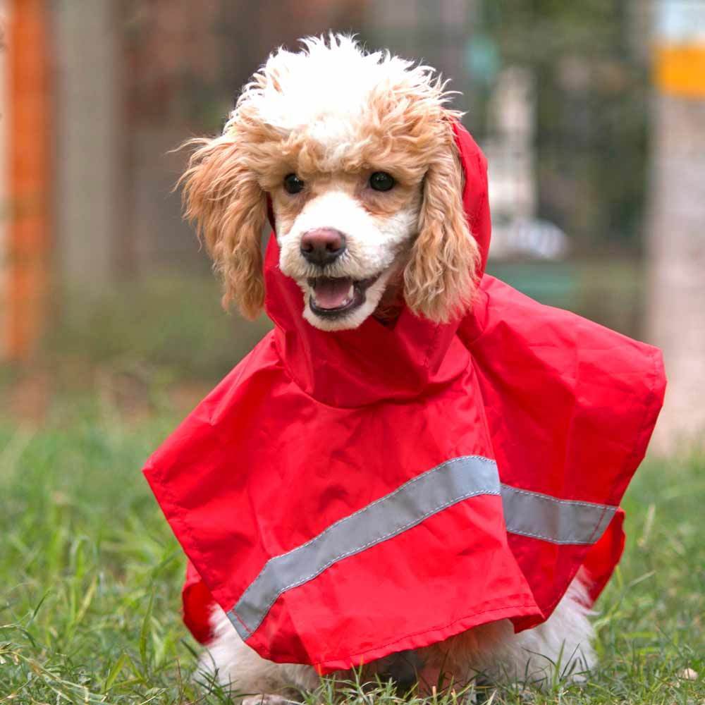 HUFT Red Raincoat for Dogs - Heads Up For Tails