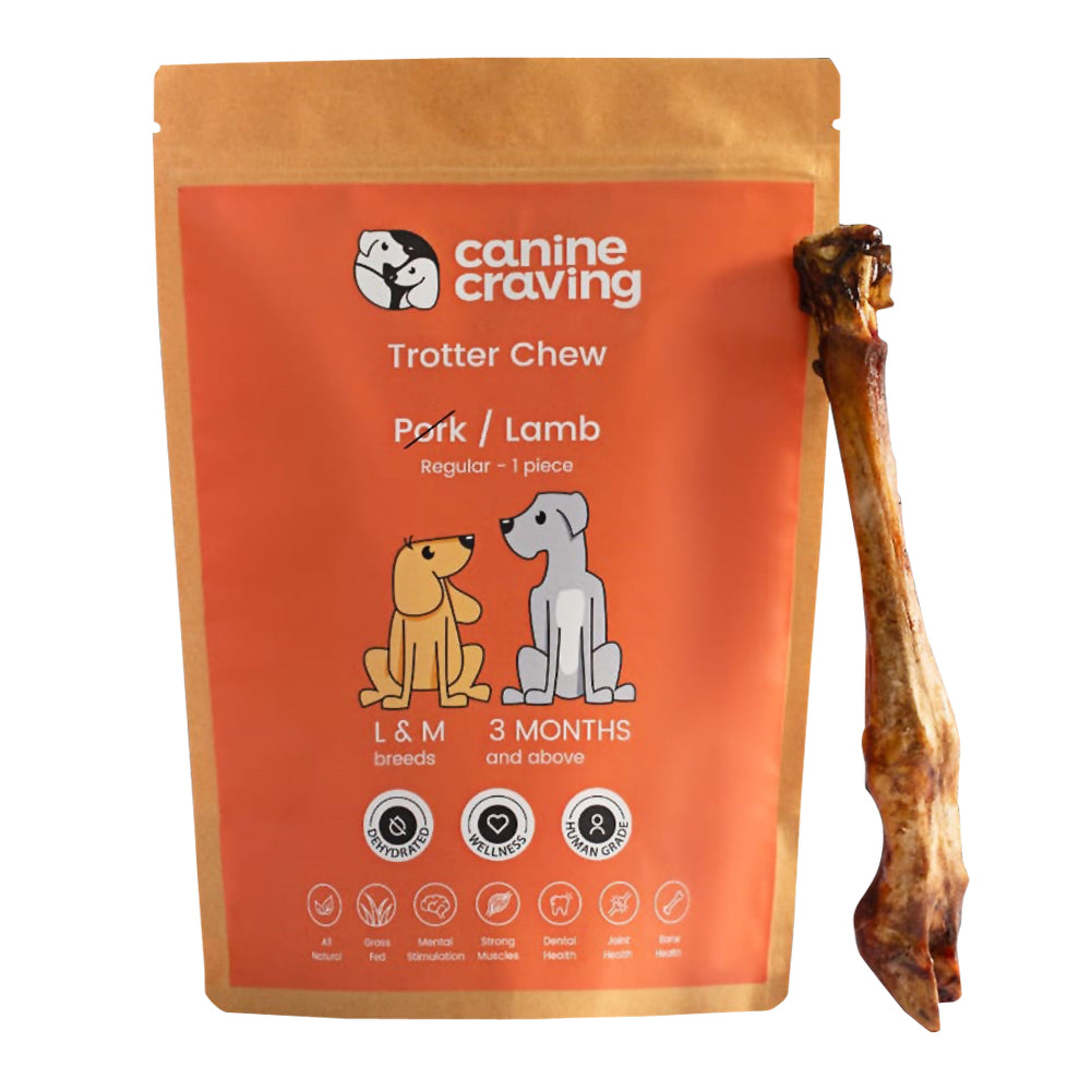 Canine Craving Dehydrated Lamb Trotter Dog Treat - 1 Piece - Heads Up For Tails